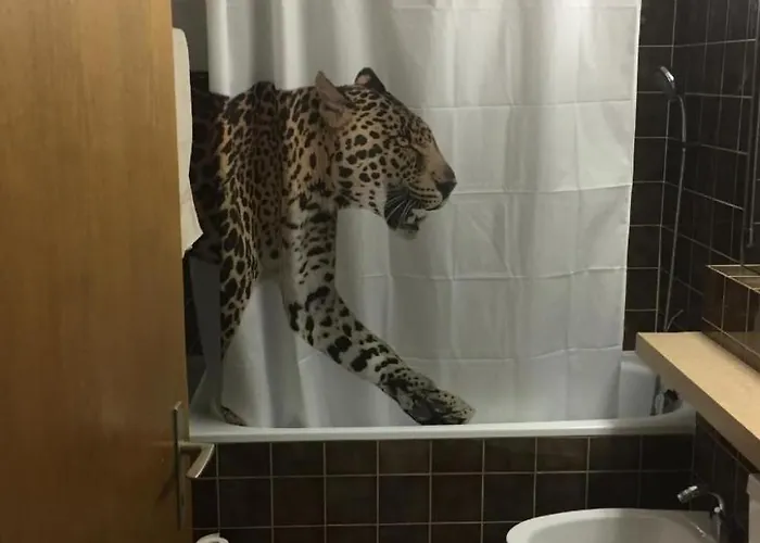 Gemuetliche Im Disentiserhof By Interhome Appartement