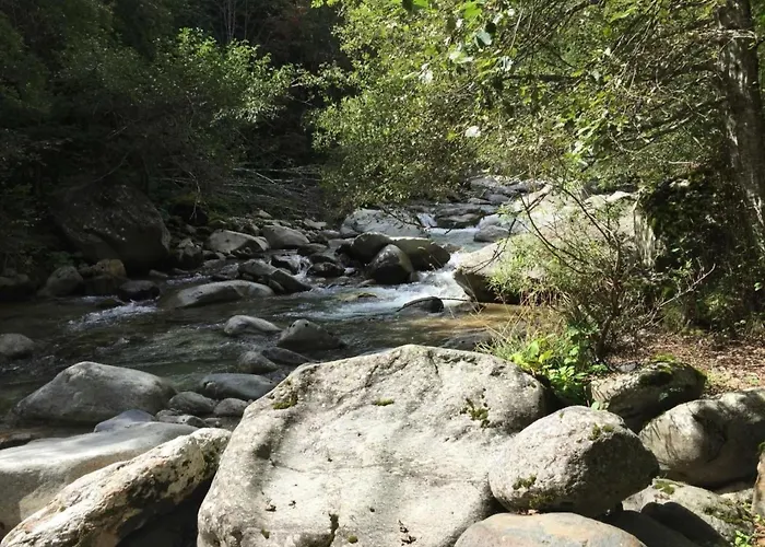 Gemuetliche Im Disentiserhof By Interhome דירה