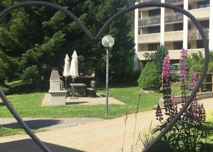 Gemuetliche Im Disentiserhof By Interhome Apartment *