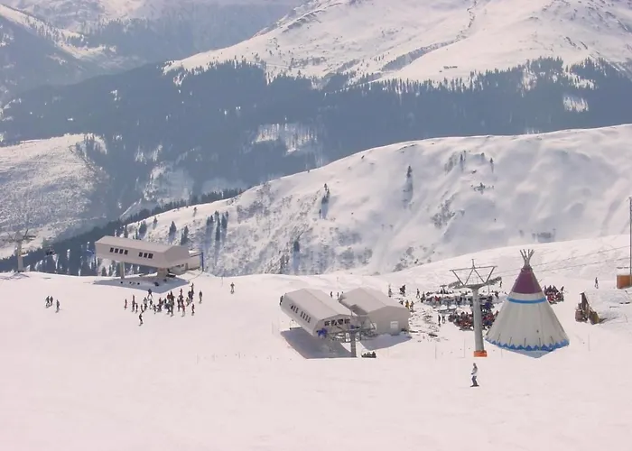 Apartment Gemuetliche Im Disentiserhof By Interhome Disentis